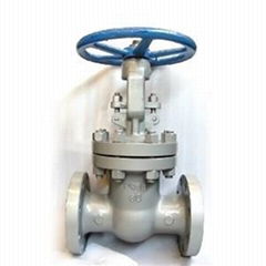 Pneumatic Actuated Stainless Steel Gate Valve