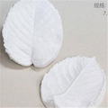 Silicone Leaf Mold 1