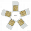 SE -A8P SIM CARD 2