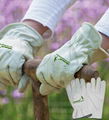 Gardening Gloves 2