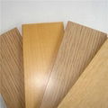 Wood Plastic Skinning Foaming 1