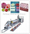 expanded epe foam sheet machine epe foam sheet making machine from Longkou 1