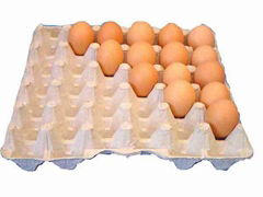 paper egg carton producing machine