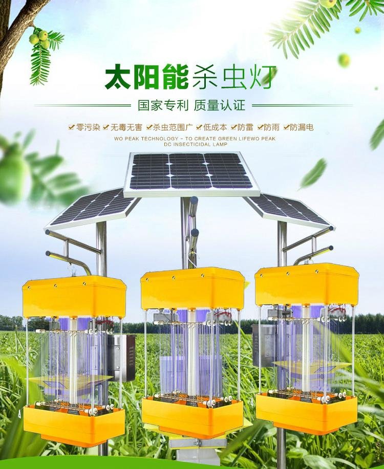 Solar insecticidal lamp 3