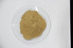 Atech Feed Dry Yeast for nutrition brewer yeast hydrolysate YLB