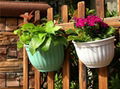 European wall hanging flower pot 1