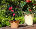 Wave edge pottery style planter 1