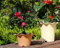 Wave edge pottery style planter