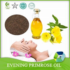 Refined and Unrefined Evening Primrose Oil