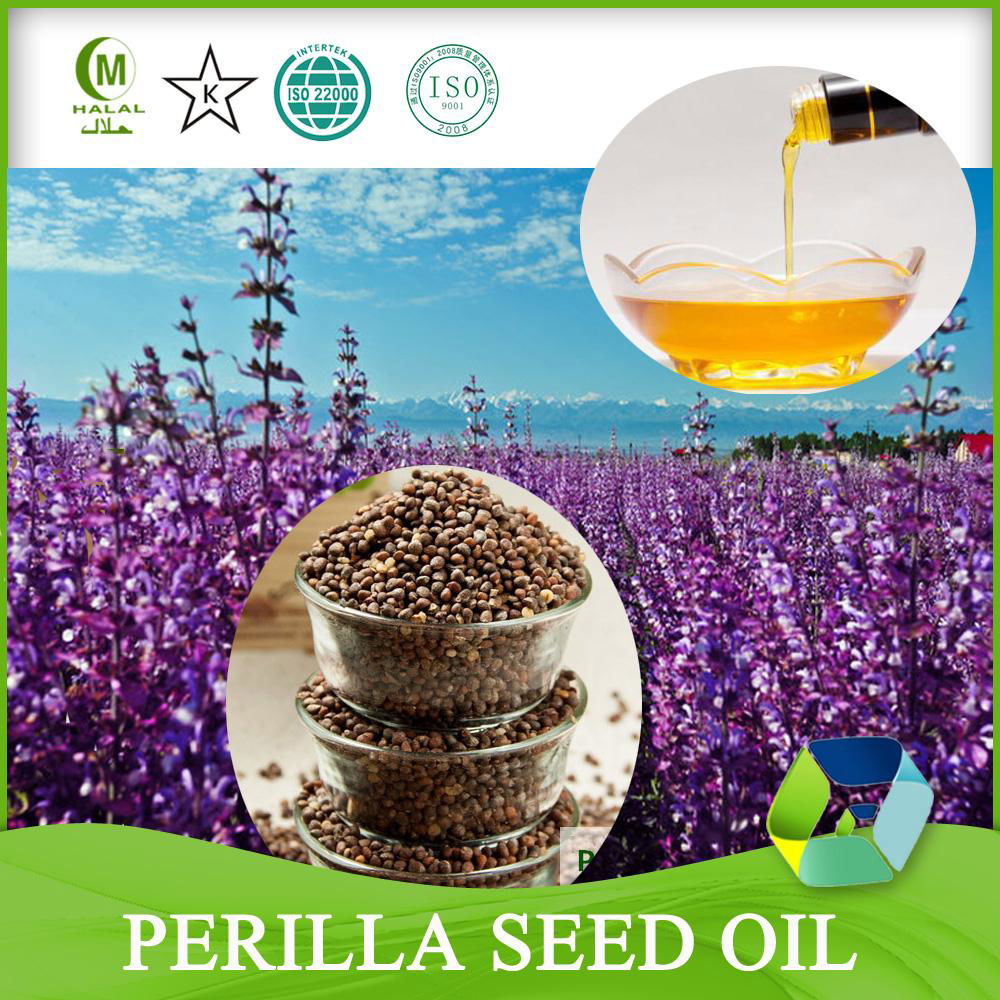 Cold Pressed Organic Fructus Perillae Egoma Perilla Seed Oil Bulk 