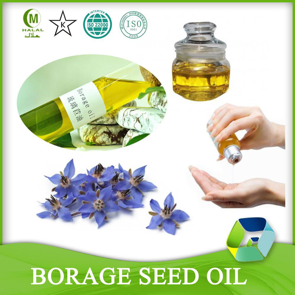 Cold Pressed Refined Borage Seed Oil 