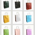 Brown Kraft Paper Bag Use Use For Shopping 1
