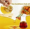 Factory Supply Natural Seabuckthorn