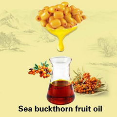 Best 100% Pure Nature Seabuckthorn Fruit Oil Berry Oil Essential Oil By CO2