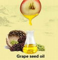 100% Natural Refined Grape Seed Oil In Bulk By CO2 1