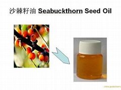 Herbal Products Wholesaler Seabuckthorn Seed Oil Hippophae Extract China Supply