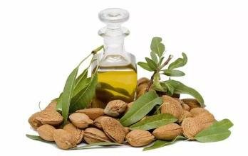 Sweet Almond Oil Vegetable Oil Plant Oil China Supplier