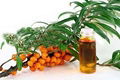 100% Natural and Pure Seabuckthorn Seed