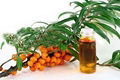 100% Natural and Pure Seabuckthorn Seed Oil sea buckthorn oil