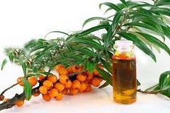 100% Natural and Pure Seabuckthorn Seed Oil sea buckthorn oil