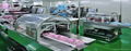 RF-BWL100(80) Baby Wet Wipes Production Line