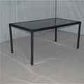 Glass Rectagular Dining Table 1