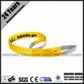 Polyester Flat Lifting Sling CE GS TUV Factory 2