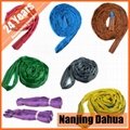 Nanjing Dahua 100% high tenacity polyester Round sling lifting sling lifting bel 1