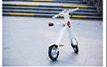 Mini  White Folding Bicycle With CE Certificate,Protable Electric Bike