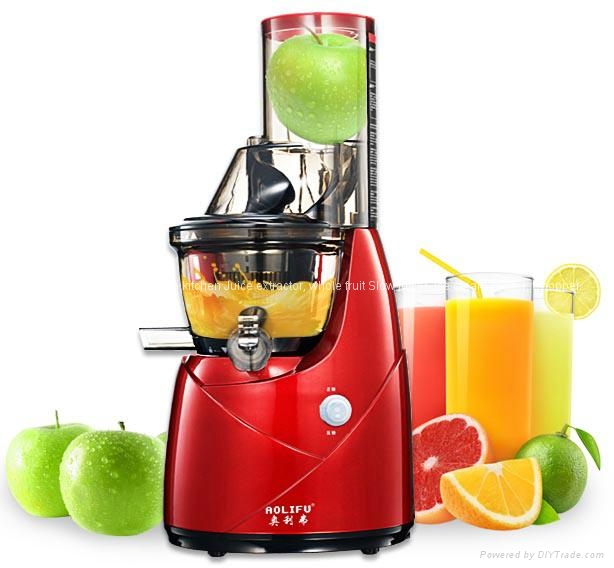 Household Juice extractor Kitchen whole fruit slow juicer DJNYZ30C