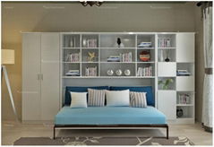 Bookcase with Horizotal Tilting Bed