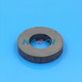 ferrite ring speaker magnet 1