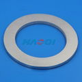 NdFeB radial magnetization ring magnet 1