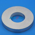 NdFeB radial magnetization ring magnet 2