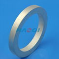 NdFeB radial magnetization ring magnet 3