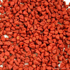 Annatto Seeds