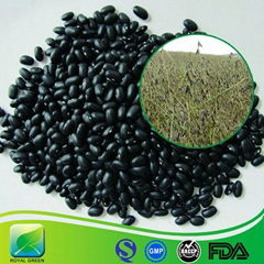 Organic Proanthocyanidins 5%-50% Black Bean Peel Extract Powder