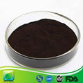 100% Natural Plant Extract 25% anthocyanins European Bilberry Extract 1