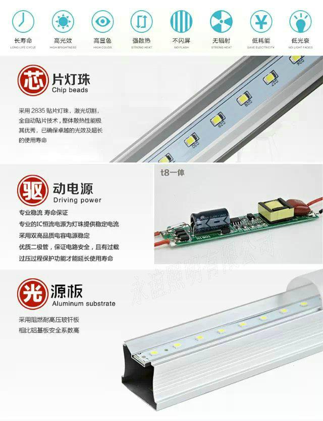 T5 T8 一体灯管 4
