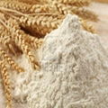 Wheat flour for general purpose M75-23 2
