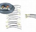 電梯線束線纜Elevator Harness cable