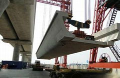 U type bridge erecting crane 200t from crane hometown