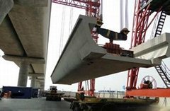 China top manufacturer U type bridge erecting crane 260t