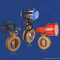 butterfly valve 1