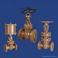 gate valve