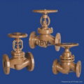 globe valve 1