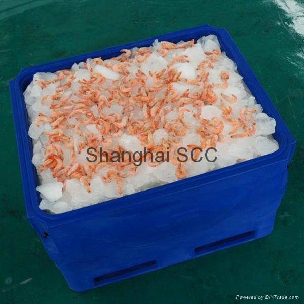 Roto molding Fish tub,Fish bin,Insualted plastic cooler 2