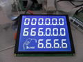 Custom lcd display module