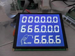 Custom lcd display module