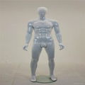 High Quality Full Body Male Mannequin 2